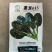 墨龙613菠菜种子耐寒热菠菜种子直立性好大田专用