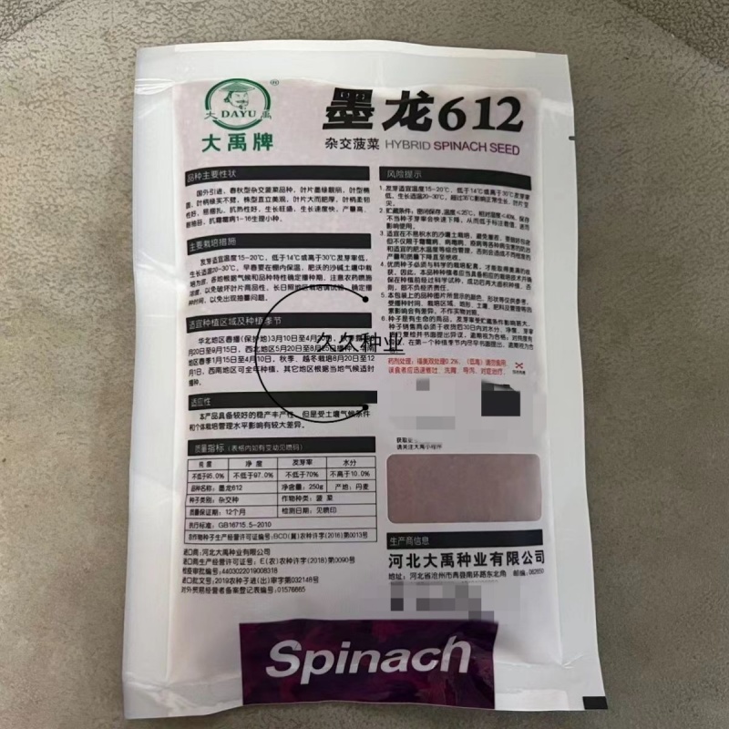 大禹牌墨龙612抗热菠菜种子高端园叶春秋基地专用品种耐运