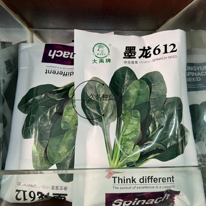大禹牌墨龙612抗热菠菜种子高端园叶春秋基地专用品种耐运