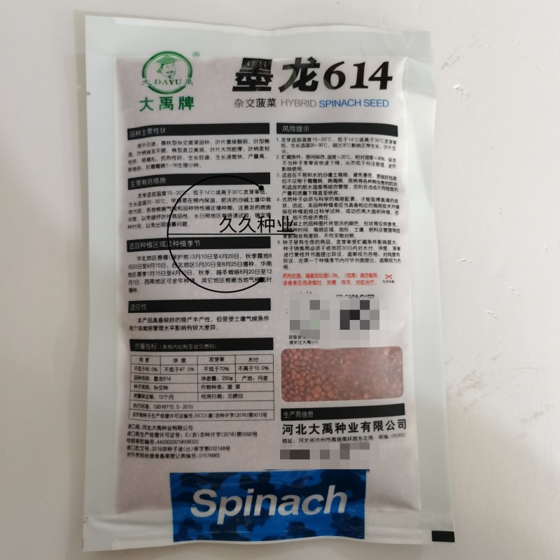 大禹牌墨龙614进口菠菜籽种子耐热春秋菠菜种孑基地专用