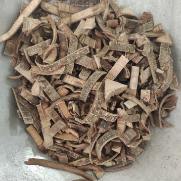 海桐皮，新货无硫产地货源，保质保量批发各种中药材欢迎订购