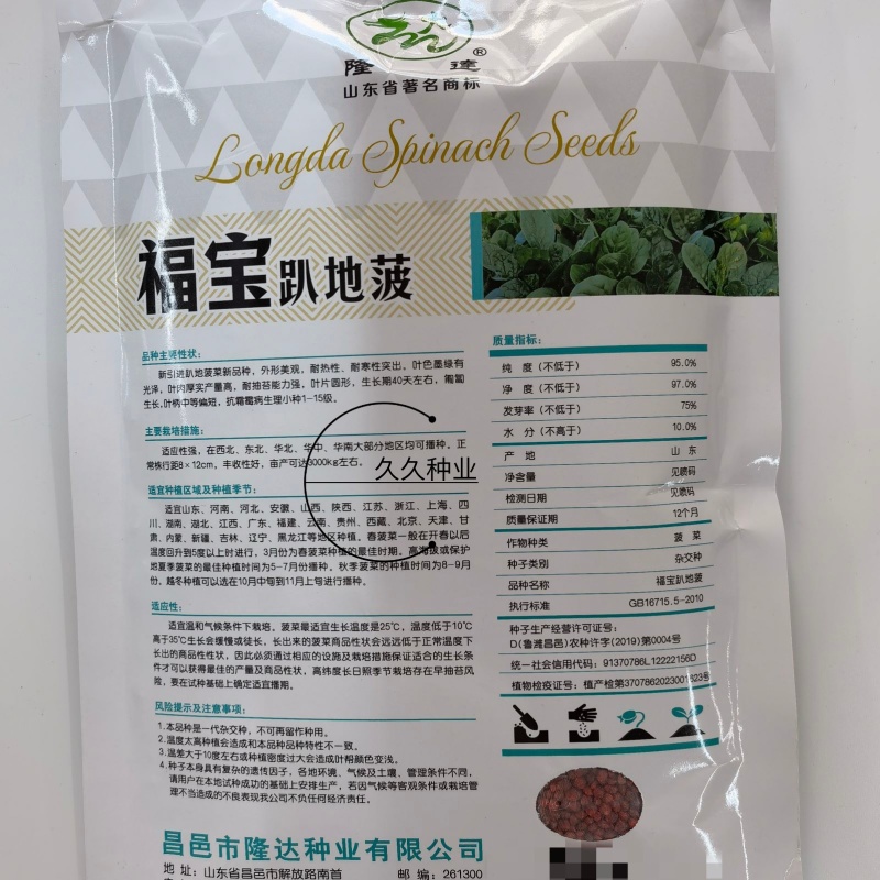 福宝趴地菠菜种子短梗大厚叶耐热耐寒越冬爬地菠菜春夏秋冬