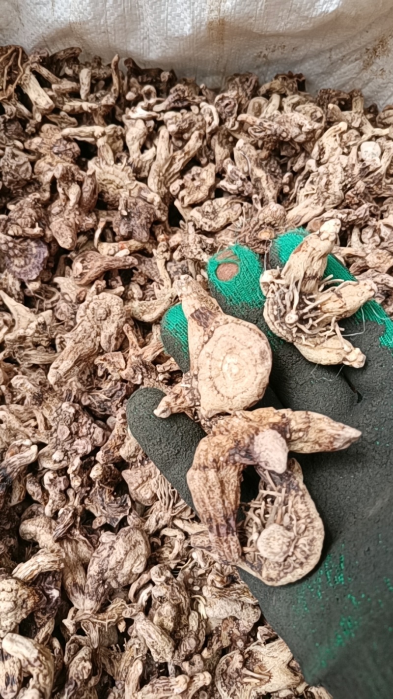 低价处理一批白及