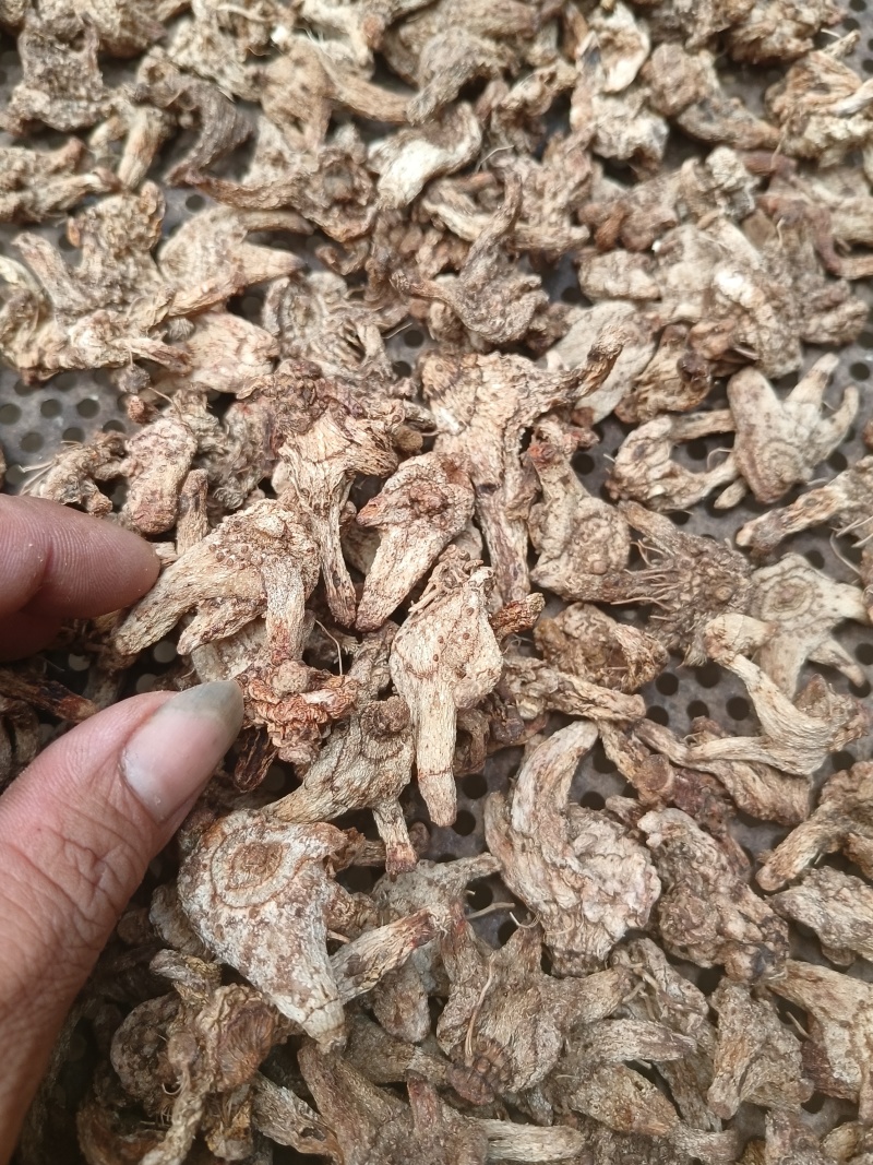 低价处理一批白及