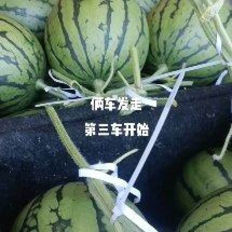 冰糖仔小吊瓜大量上市，价格不高，有需要的老板联系我