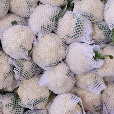 【有机花菜】河北昌黎有机花菜精品小米粒大量供应