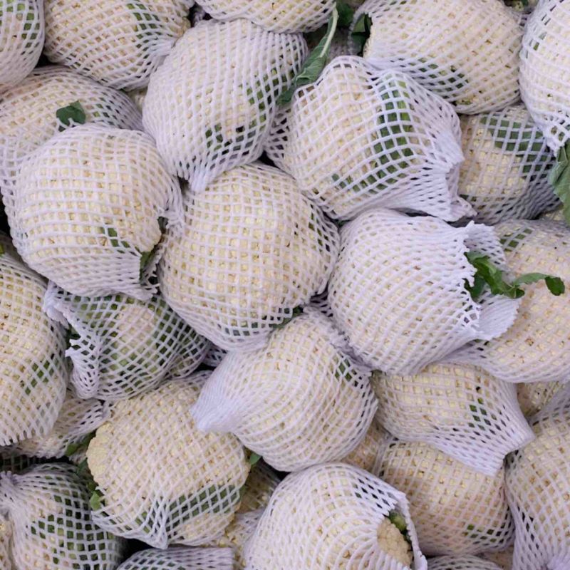 【有机花菜】河北昌黎有机花菜精品小米粒大量供应