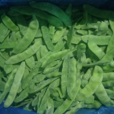 出售速冻油豆角