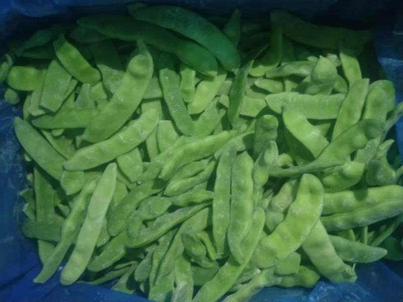 出售速冻油豆角