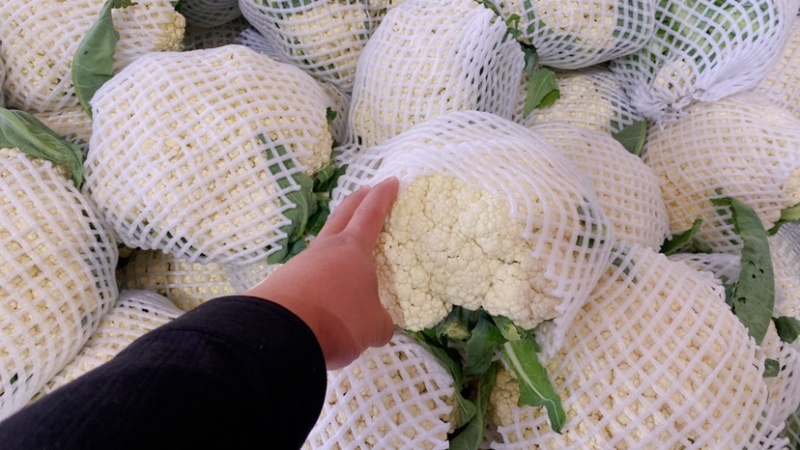 【有机花菜】河北昌黎有机花菜精品小米粒大量供应
