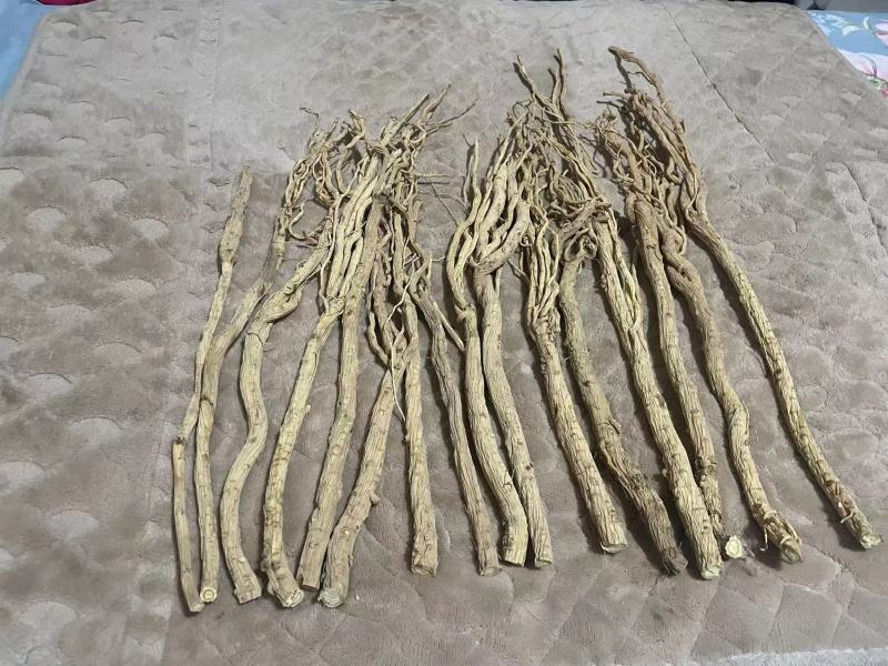 【精品去头防风】诚信经营，价格公道，欢迎各位老板前来选购