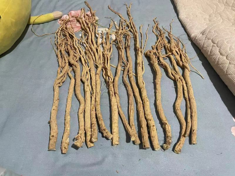 【精品去头防风】诚信经营，价格公道，欢迎各位老板前来选购