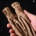 专业种植当归品质**长期有货诚信经营欢迎联系咨询
