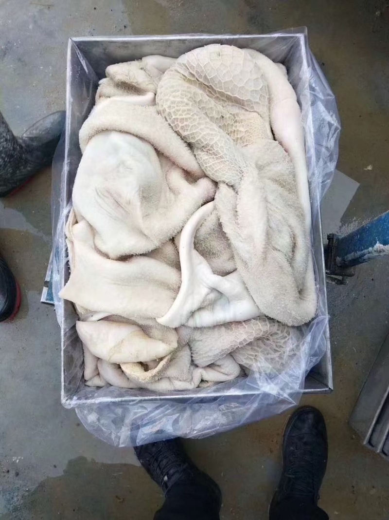 国产纯干半成品牛肚厂家直发大量供货价格便宜欢迎来电