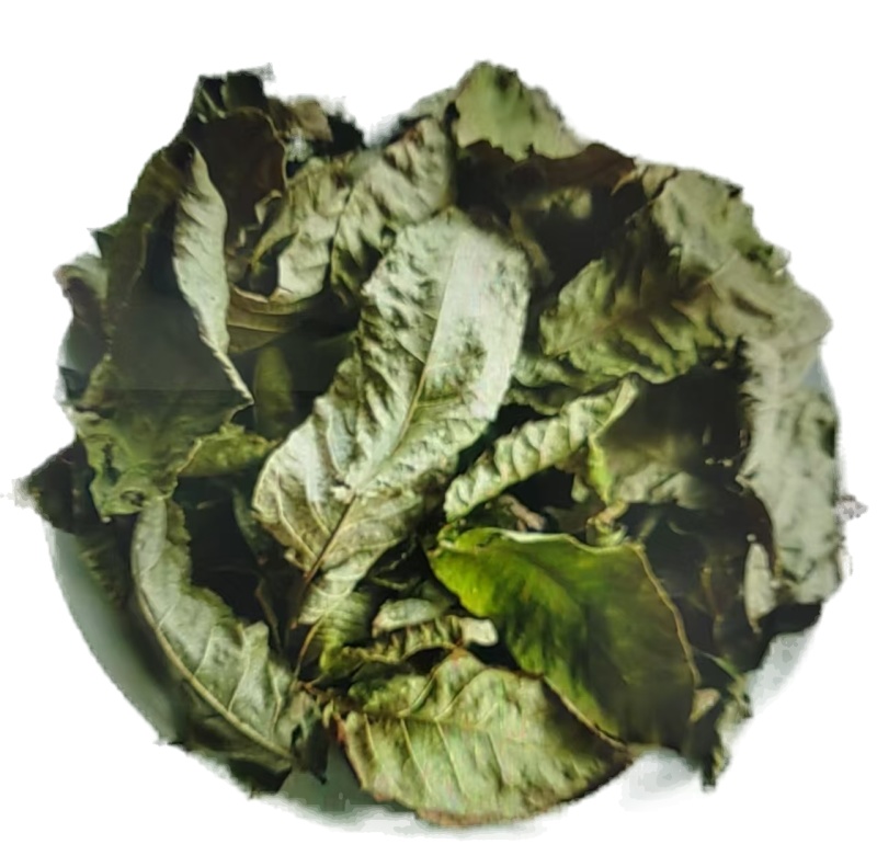品牌晾干青钱柳原叶青钱柳甜茶正品青钱柳金钱柳中药材叶子