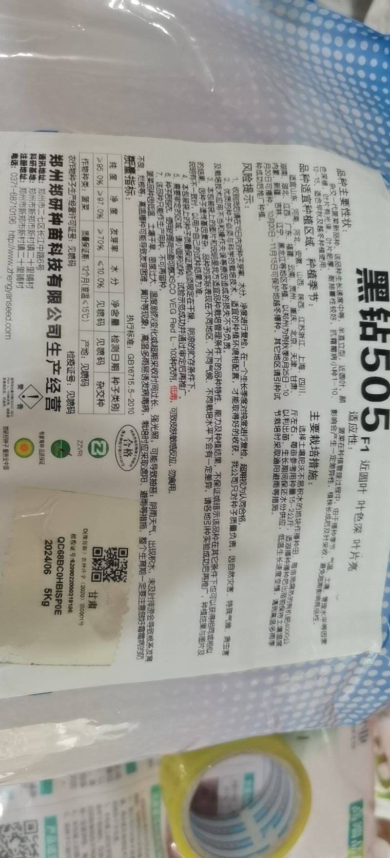 河南郑州趴地菠菜种子黑钻505短梗大厚叶耐热耐寒越冬爬地