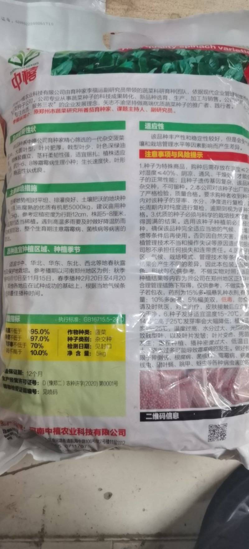 河南郑州菠菜种子澳禧叶片丰厚叶色深绿油亮抗生理小种生长快