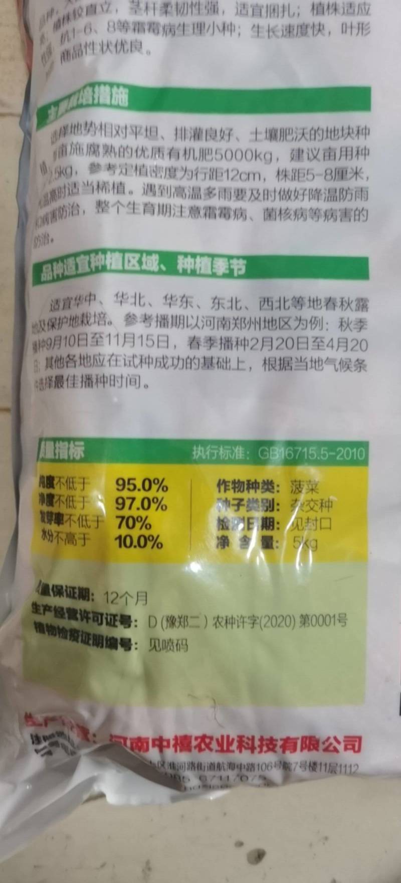 河南郑州菠菜种子澳禧叶片丰厚叶色深绿油亮抗生理小种生长快