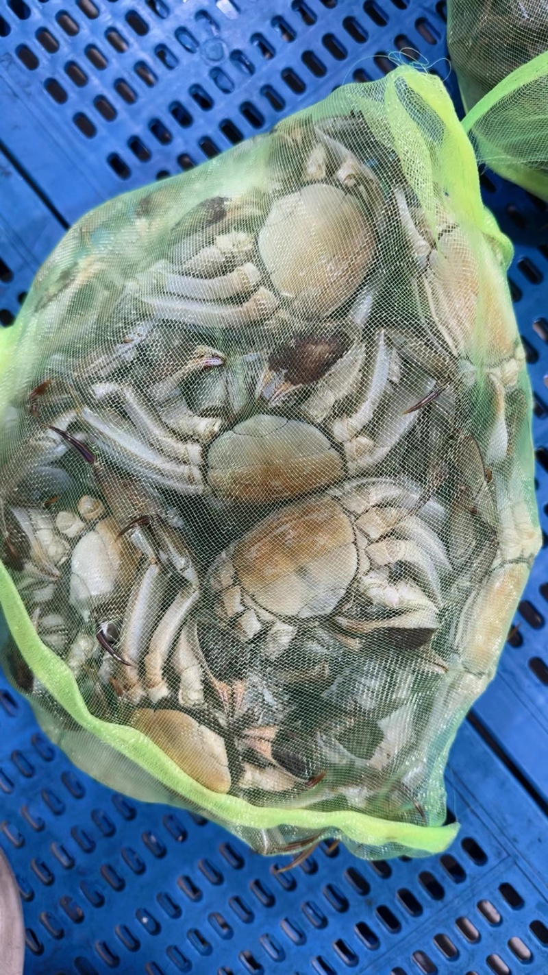 江苏兴精品大闸蟹，包活包肥，产地发货，价格优美质量有保证