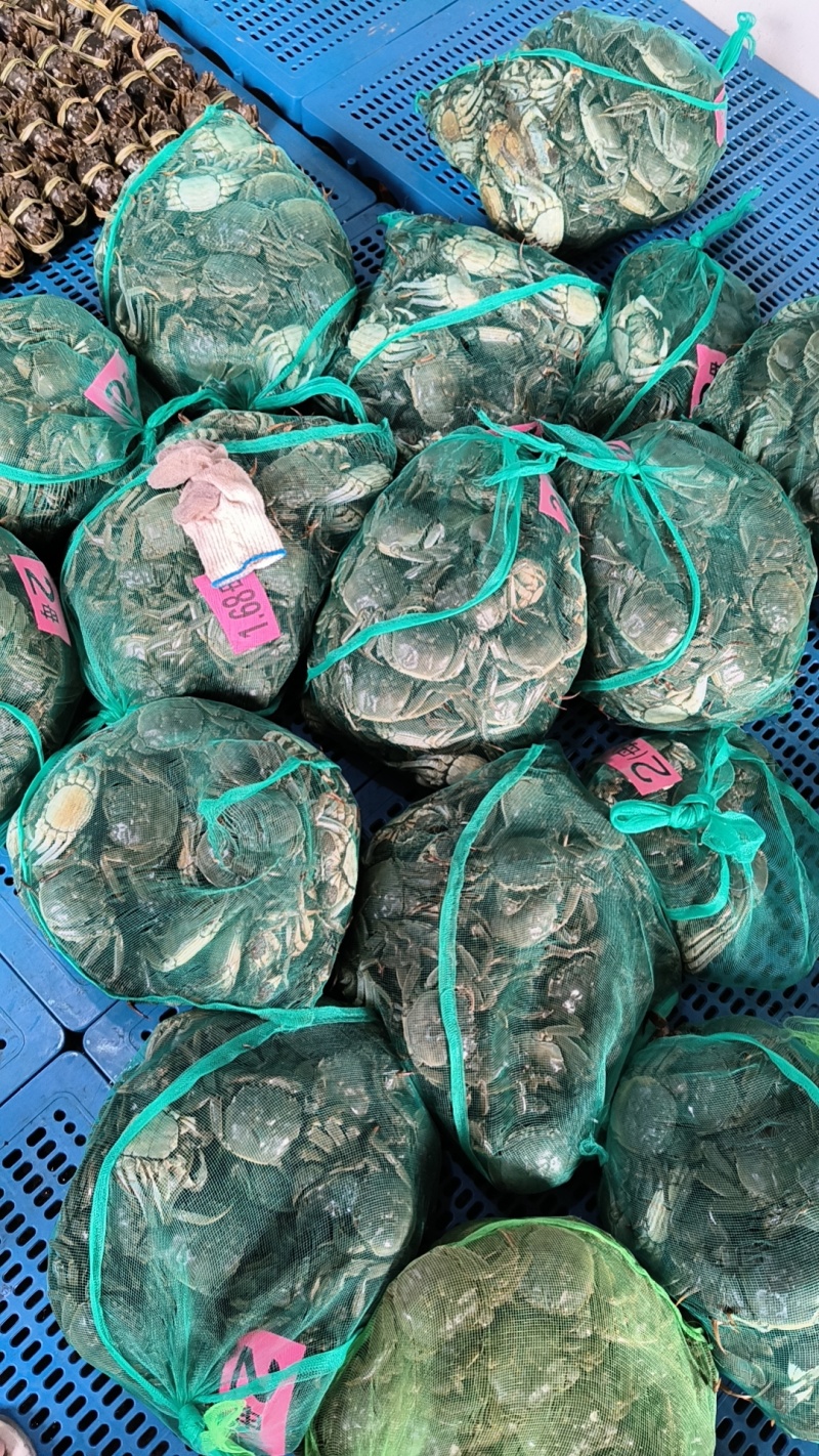江苏兴精品大闸蟹，包活包肥，产地发货，价格优美质量有保证