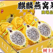 燕窝果一件代发，批发
