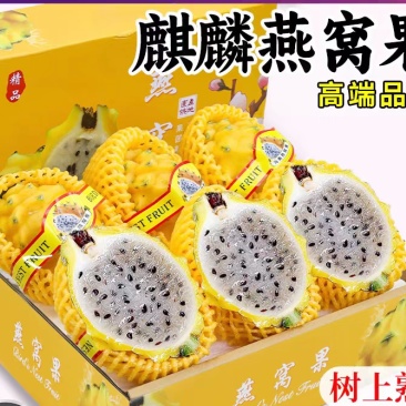 燕窝果一件代发，批发