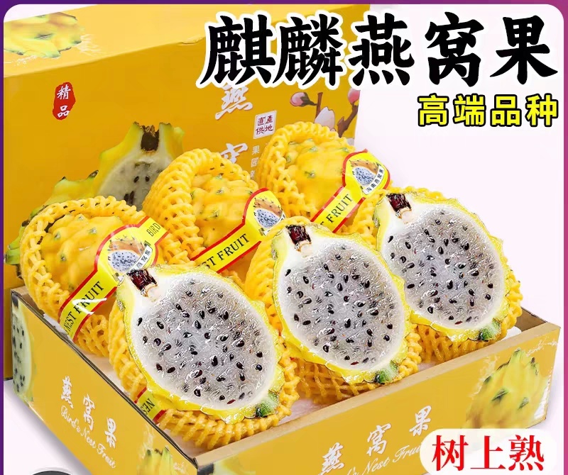 燕窝果一件代发，批发