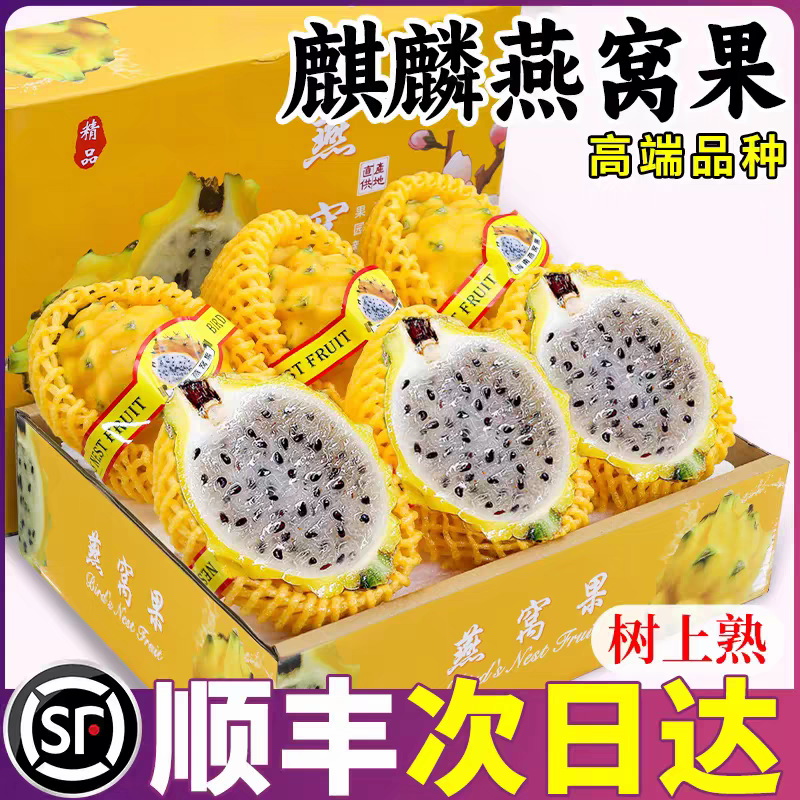 燕窝果一件代发，批发