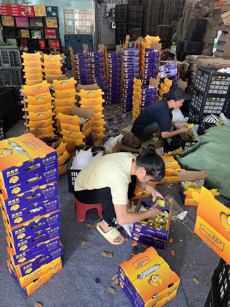 燕窝果一件代发，批发