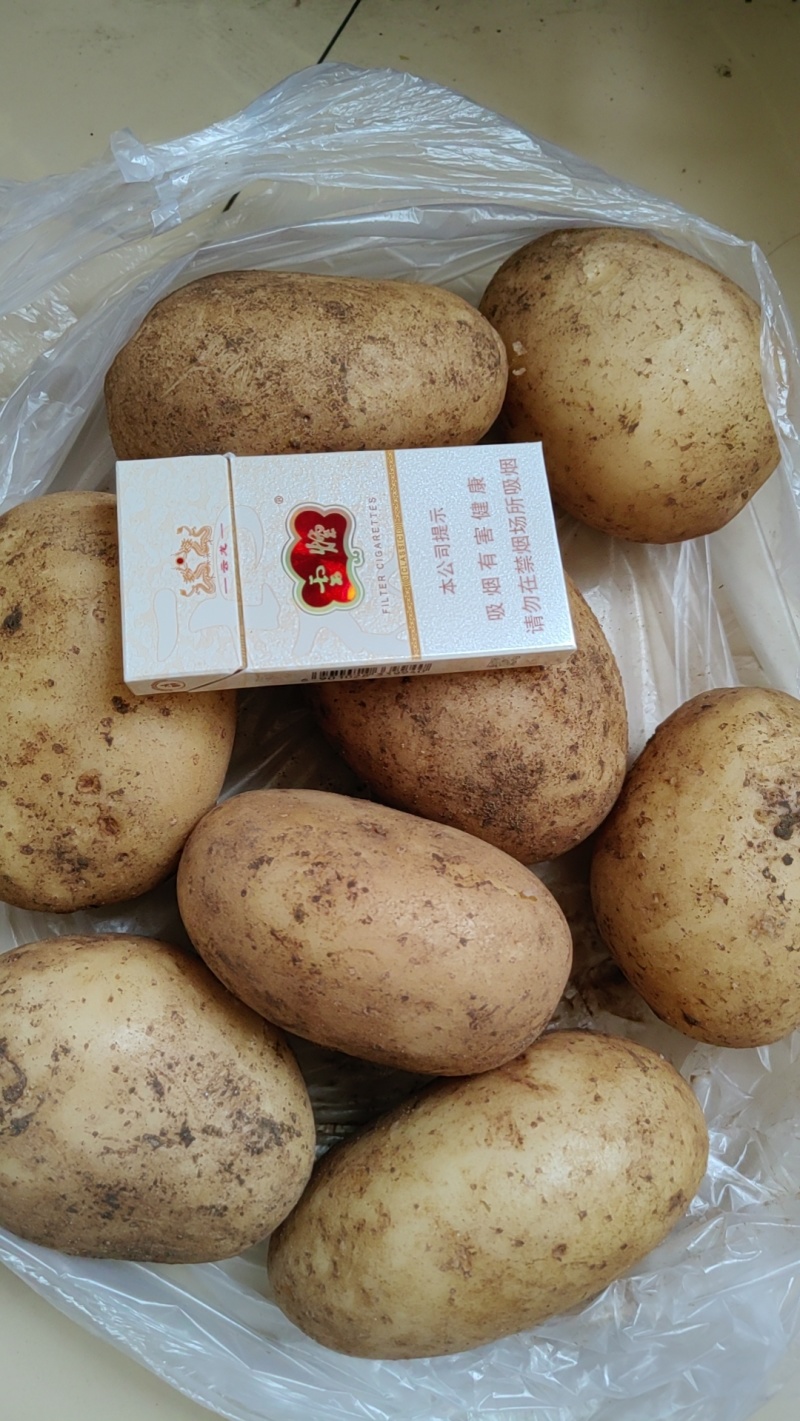 土豆