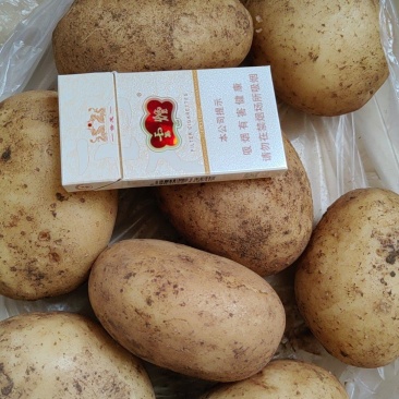 土豆