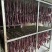 风干牛肉风干鸡肉风干鸭肉风干猪肉地摊跑江湖展会手撕牛肉