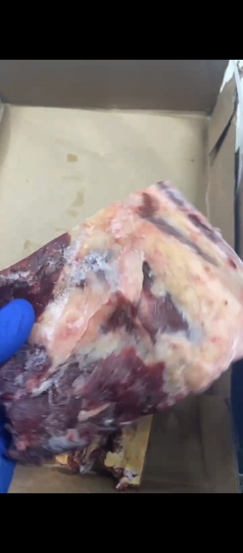 黄标牛排