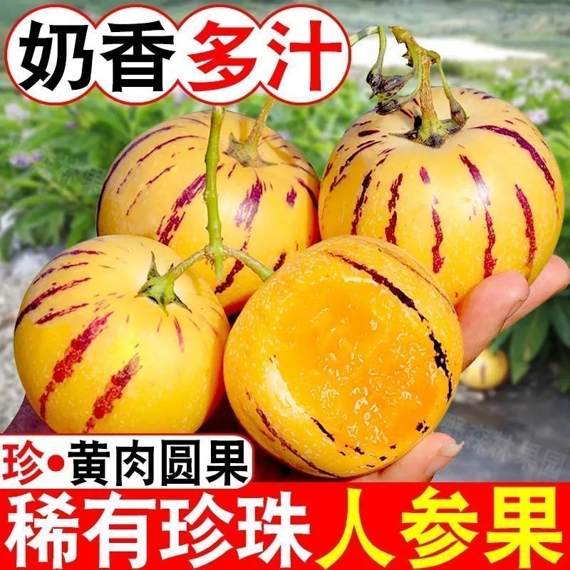 云南石林人参果黄心圆果新鲜孕妇现摘应季黄肉水果整箱
