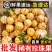 云南石林人参果黄心圆果新鲜孕妇现摘应季黄肉水果整箱