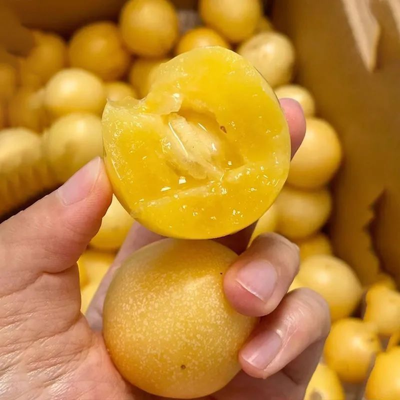 云南石林人参果黄心圆果新鲜孕妇现摘应季黄肉水果整箱