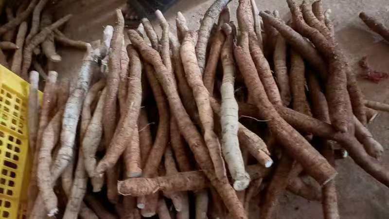 十多年的牛大力，野生原生态好货，看上的联系