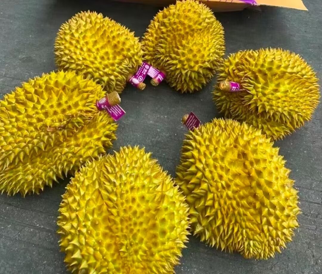 展示一个完整的金枕头榴莲,果皮金黄带刺,果肉饱满,背景为水果市场环境 金枕头榴莲实物展示