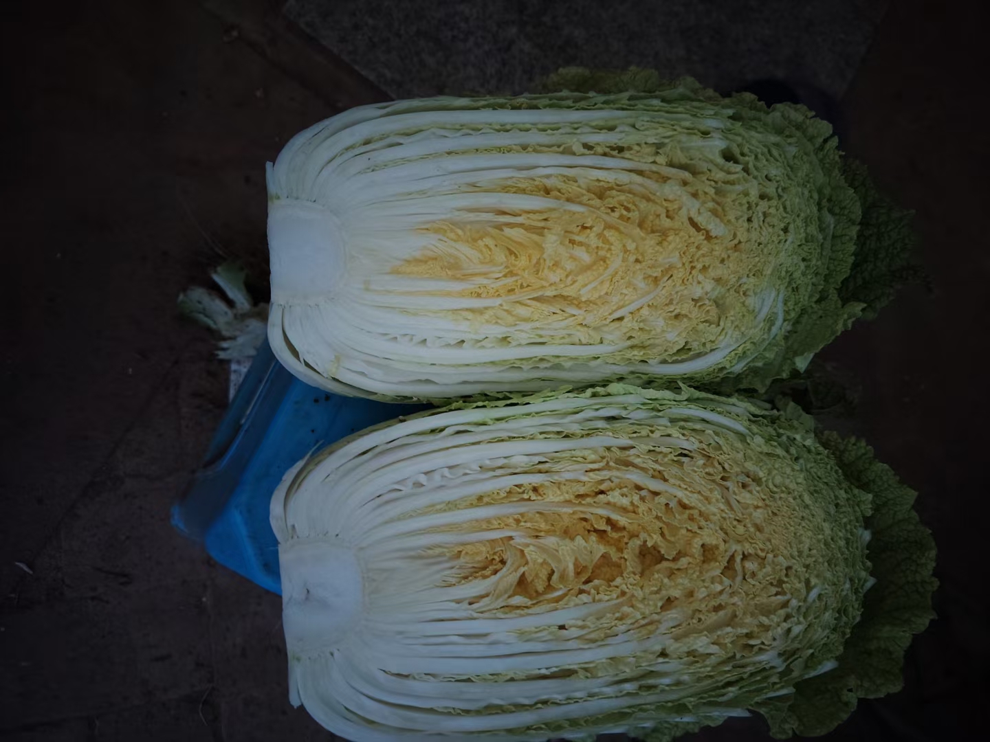 蒸熟的白菜出锅图