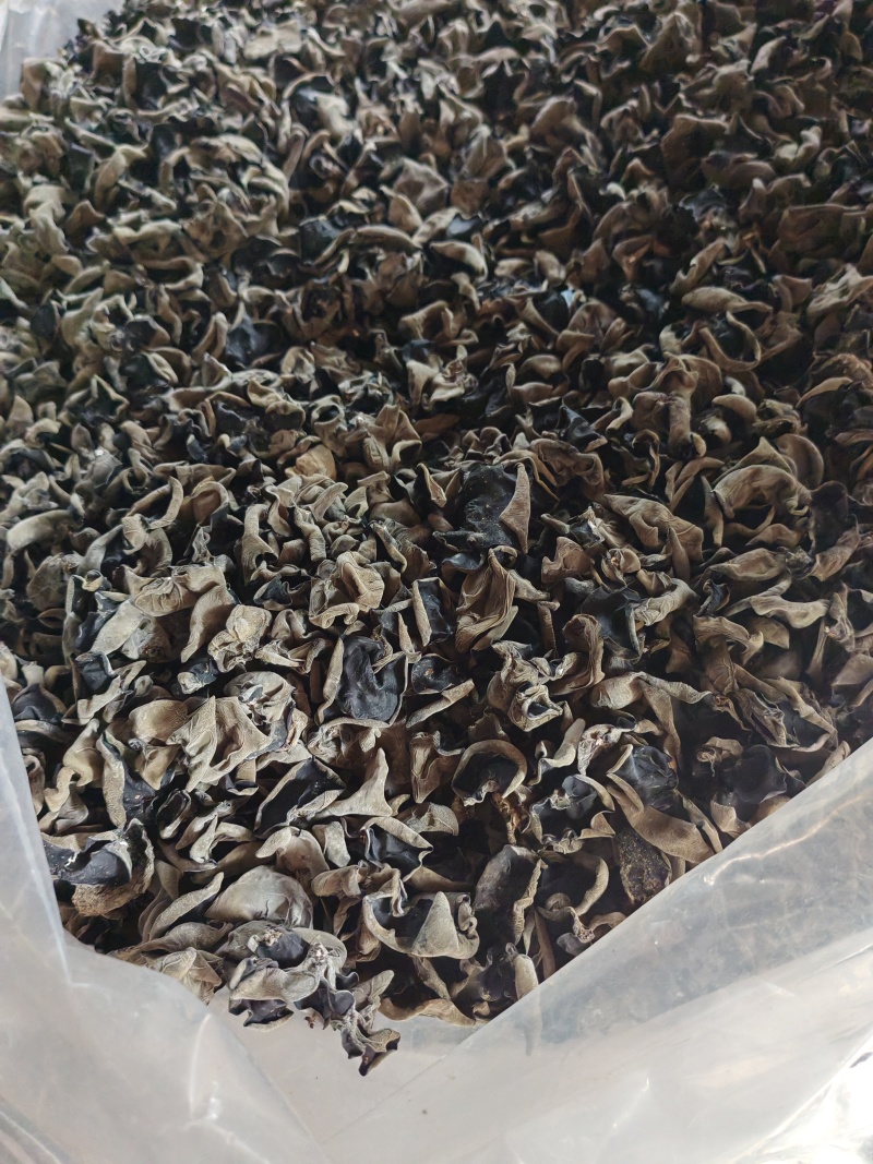 湖北房县黑木耳干货大量货源价格优惠欢迎订购