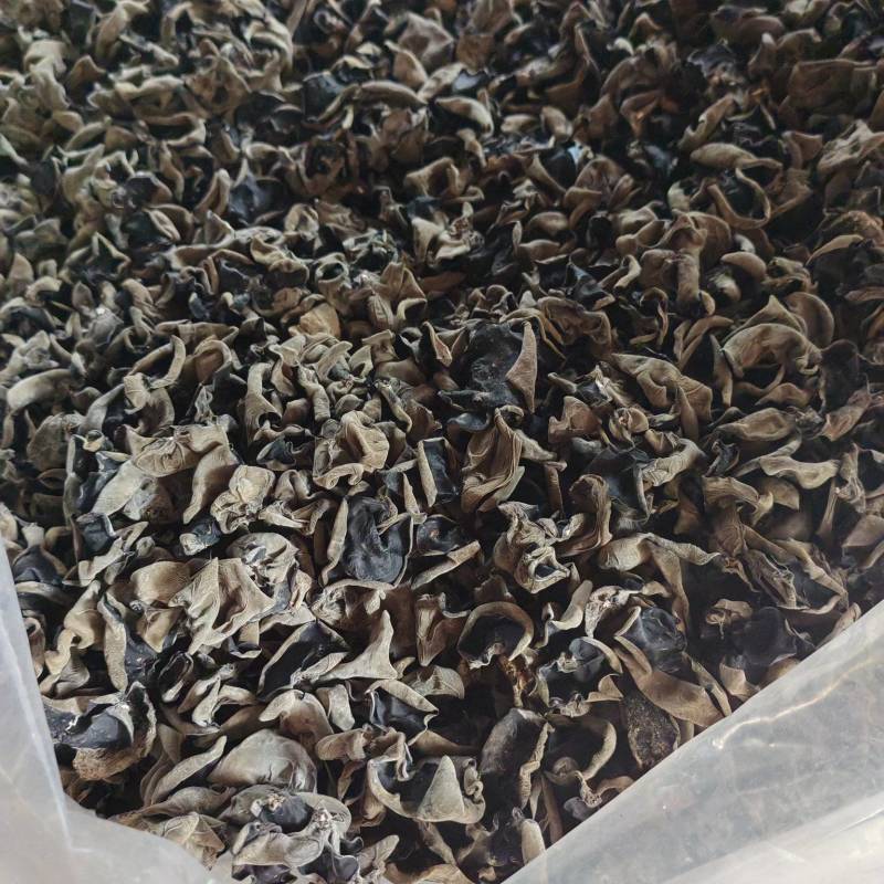湖北房县黑木耳干货大量货源价格优惠欢迎订购
