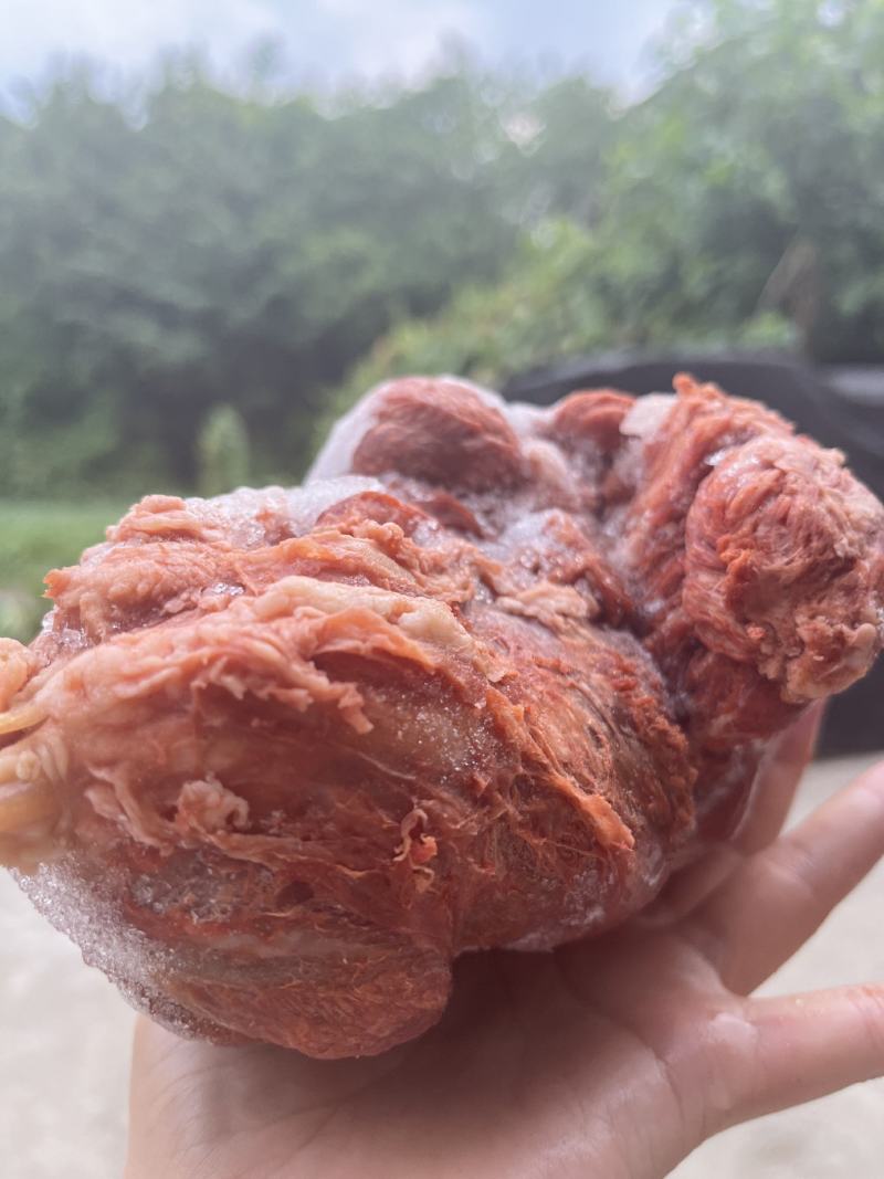 酱五香腱子肉猪肉条形半成品冻腱子肉卤味凉菜批发