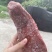 酱五香腱子肉猪肉条形半成品冻腱子肉卤味凉菜批发