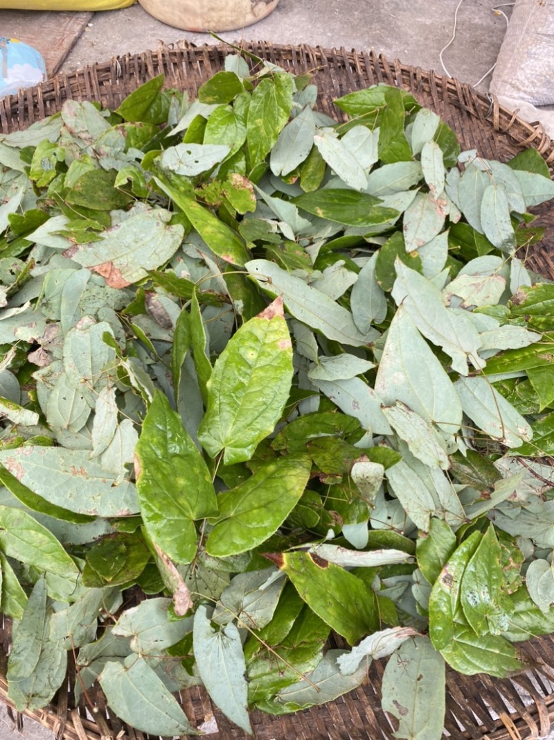 野生淫羊藿，大量有货，需要的联系