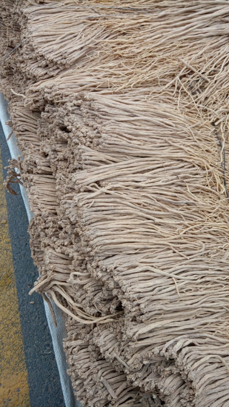 党参小中条药厂货