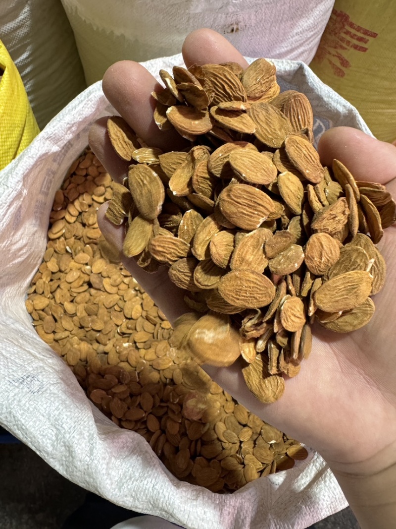 桃仁山桃仁去皮桃仁炒桃仁各种规格齐全