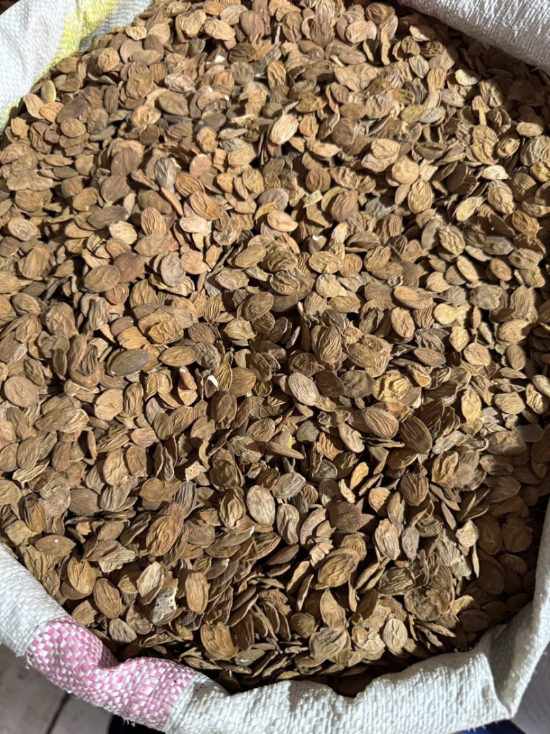 桃仁山桃仁去皮桃仁炒桃仁各种规格齐全