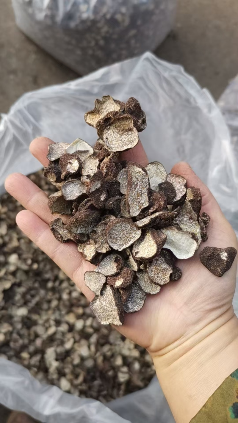 黑松露新货干货纯野生菌价格实惠有意者联系