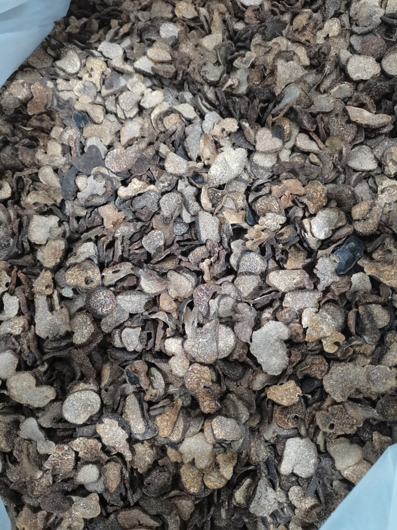 黑松露新货干货纯野生菌价格实惠有意者联系
