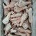 带舌鸭头